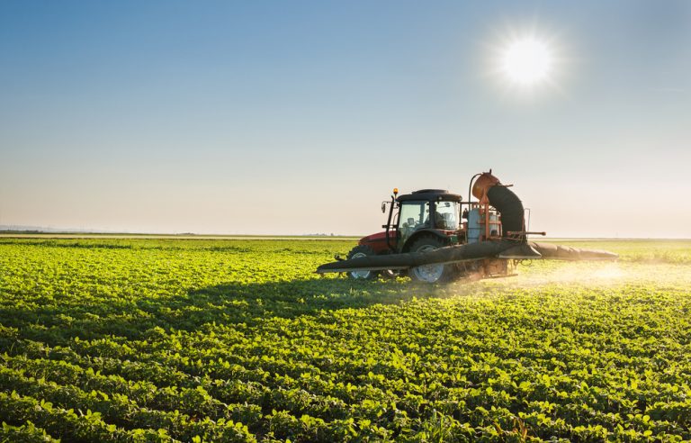 Otimismo atinge toda a cadeia do agronegócio