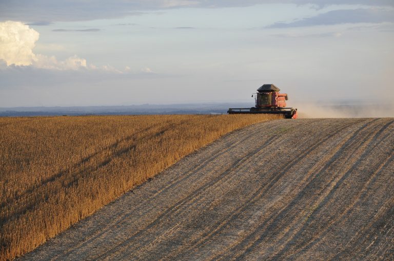 Safra de grãos deve fechar 2019 em 236 milhões de toneladas