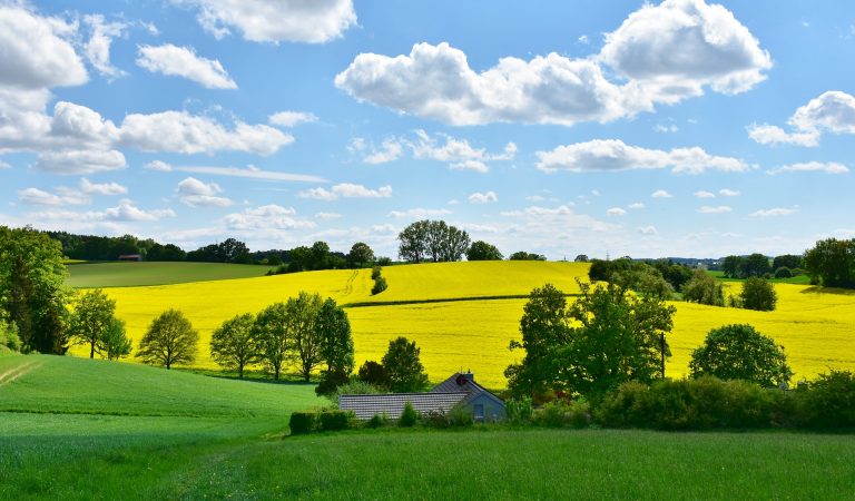 Certificado digital para declaração de imposto sobre propriedade rural