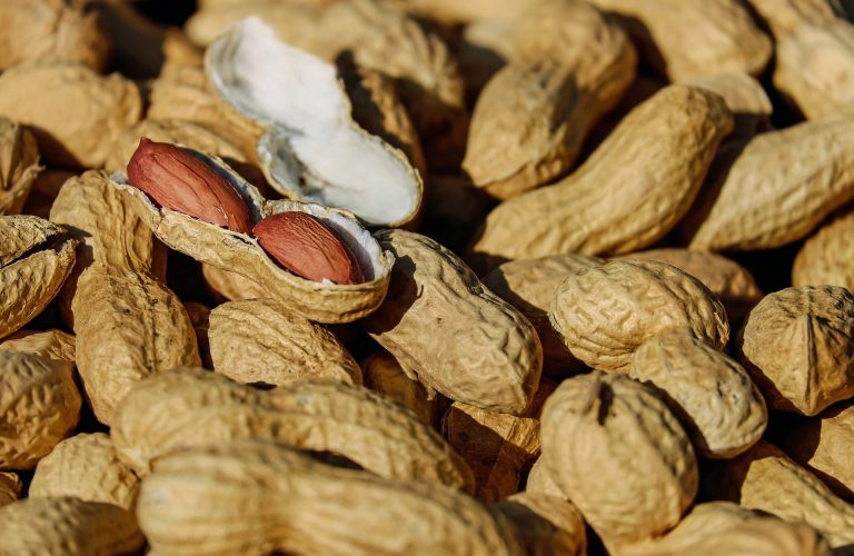 Balança comercial de amendoim in natura atinge US$ 70,8 milhões até abril