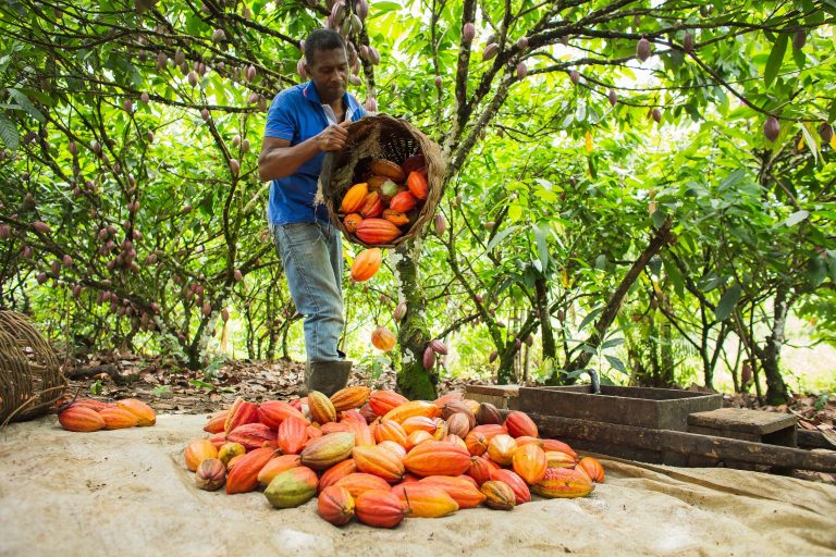 Mondelez International avança na agenda de ESG em direção às metas de 2025