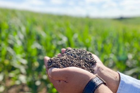 Estudos demonstram efetividade de fertilizante que reduz perdas por falta de chuva