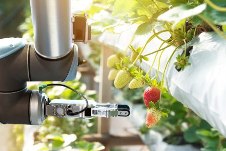 Bayer abre inscrições para programa focado em sustentabilidade