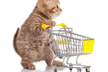Crescimento do mercado pet comprova a importância do sistema de gestão