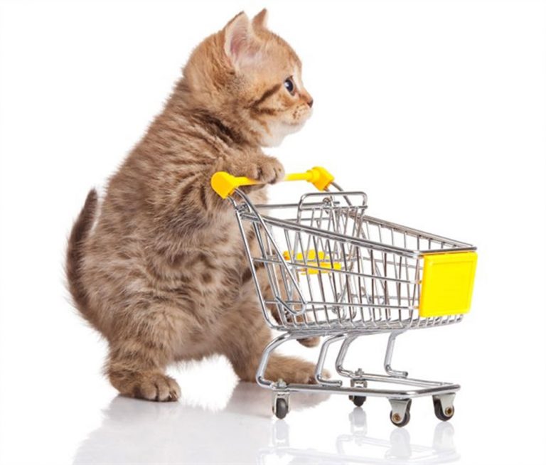 Crescimento do mercado pet comprova a importância do sistema de gestão