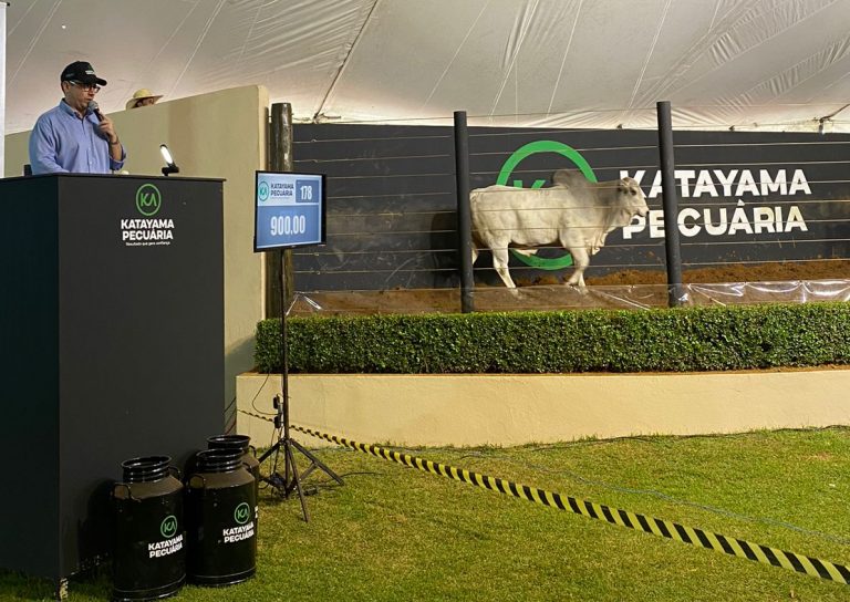 Leilão virtual de genética bovina do Brasil tem recorde de faturamento