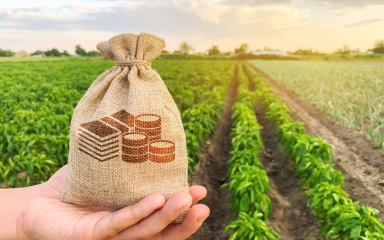 Com regulação temporária, Fundos de Investimento das Cadeias Agroindustriais entra em vigor