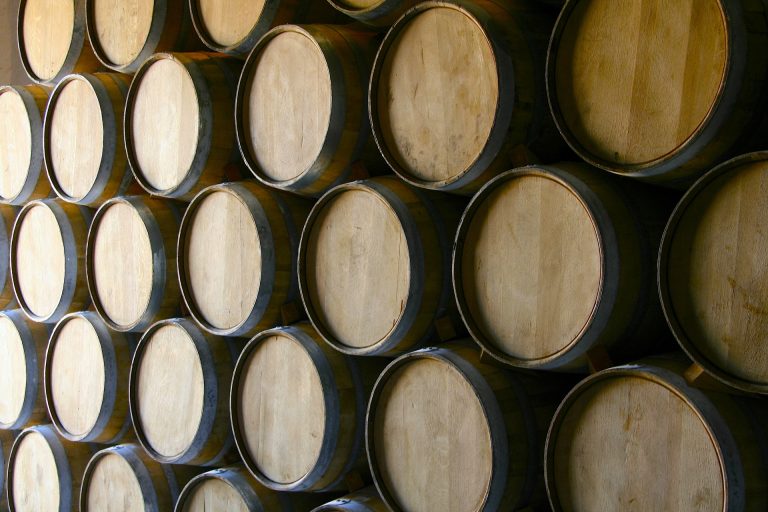 Vinho brasileiro pode ser celeiro do mundo
