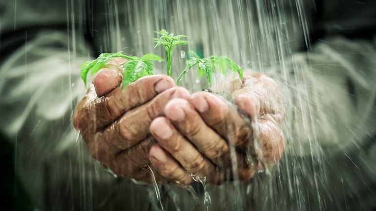 De forma inédita, agricultores poderão obter subsídio privado para seguro agrícola