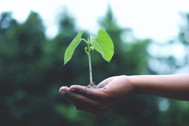 Projetos sustentáveis são tendência no mundo corporativo