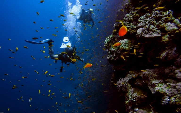 Turismo de experiência ganha destaque durante a pandemia