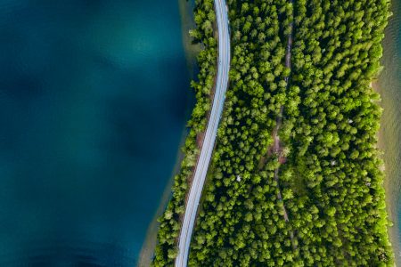 Carbono zero e reciclagem são prioridades em compromissos ambientais