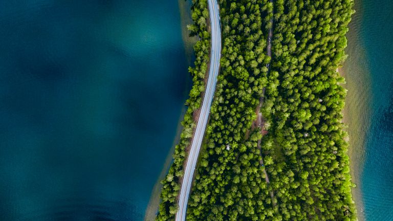 Carbono zero e reciclagem são prioridades em compromissos ambientais