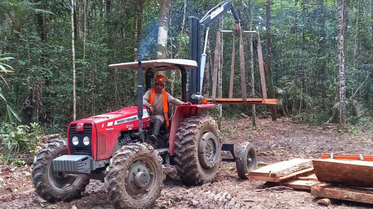 Evento debate manejo sustentável de florestas na Amazônia