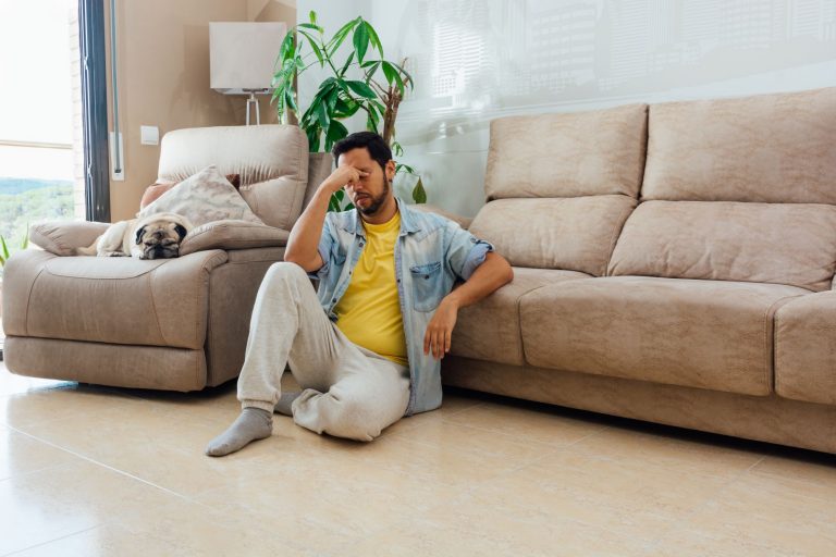 Maior presença de pets em casa reforça a atenção com móveis e estofado