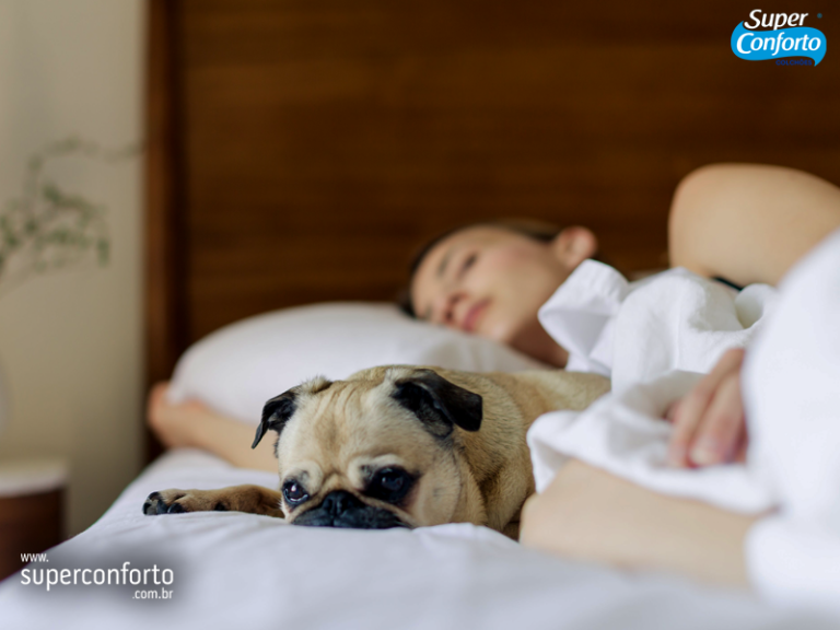 Especialistas alertam sobre os benefícios e danos causados ao dormir com o pet