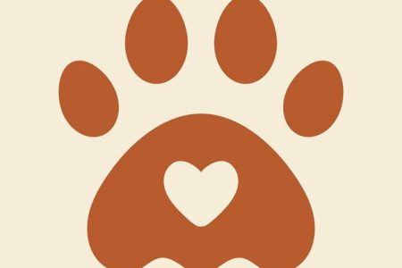 Cremação de pets se apresenta como tendência no Brasil