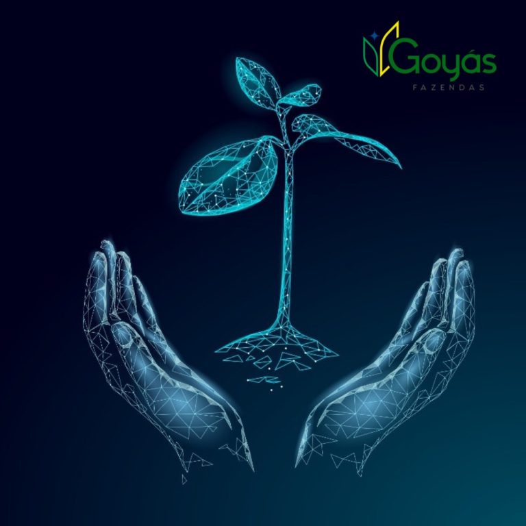 Número de startups do setor agro cresce em plena pandemia