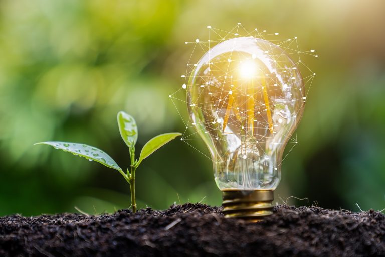 Uso de energia renovável aumenta e passa a ser utilizada para criação de remédio