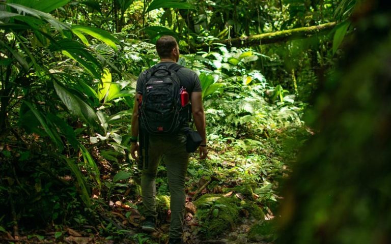 Dicas de destinos de ecoturismo para viajar no Brasil
