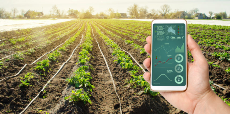 Brazil-Florida Business Council, Inc. destaca era digital do agribusiness