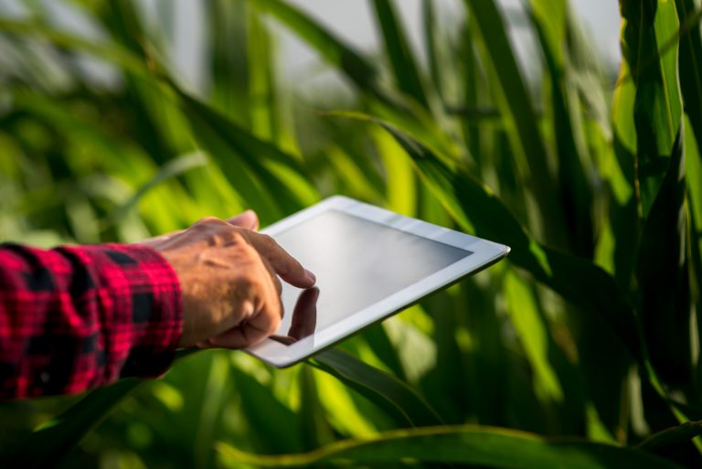 Agronegócio está cada vez mais tecnológico