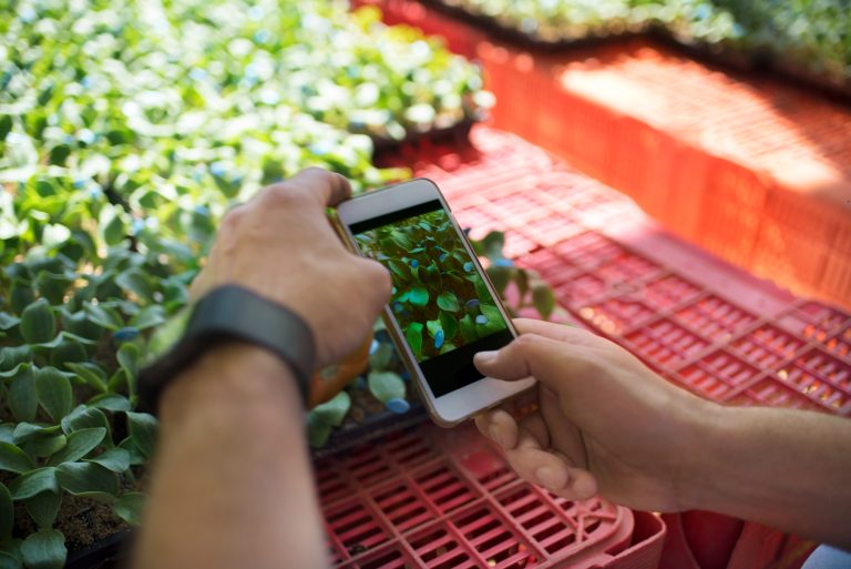 Startups do Brasil e França vencem desafio de sustentabilidade da Bayer e AgTech
