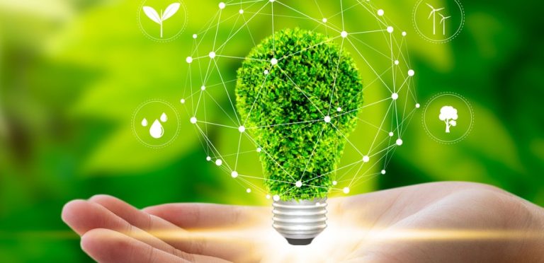 Empresas buscam certificação ESG para longevidade de negócios