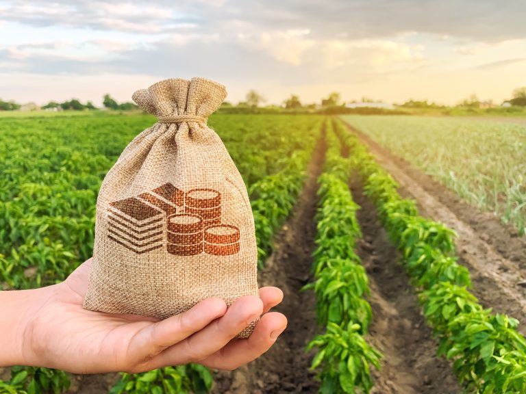 Agronegócio e o mercado financeiro caminham de mãos dadas