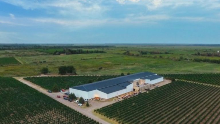 Rótulos de vinhos da La Mansa Wine Estates chegam ao mercado brasileiro