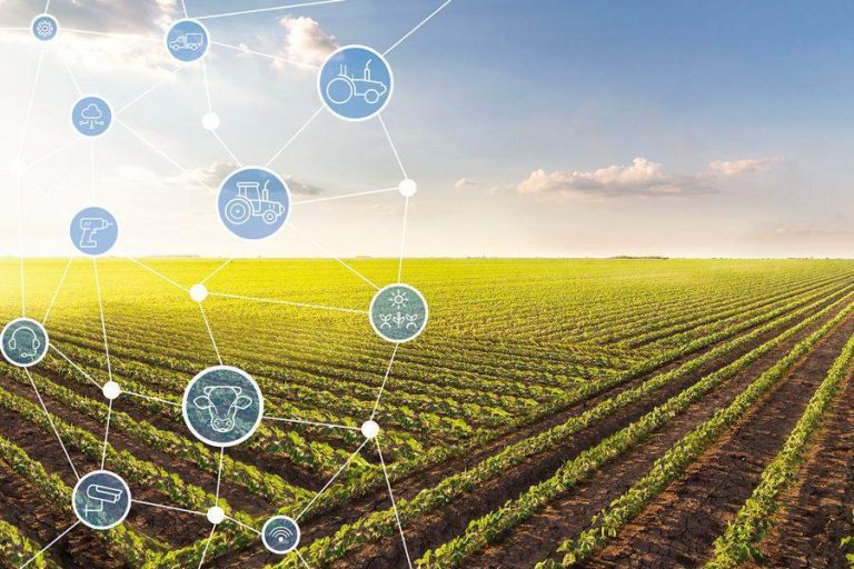 Tecnologia de segurança oferece maior proteção ao agronegócio
