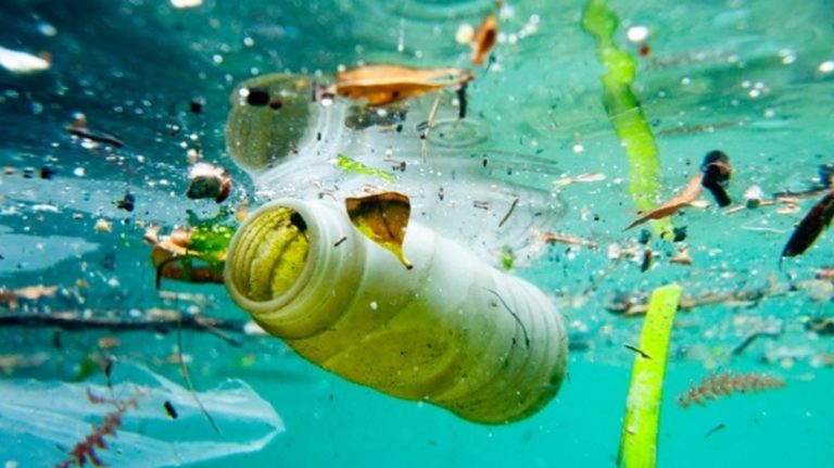 Atividade humana é responsável por poluir oceanos