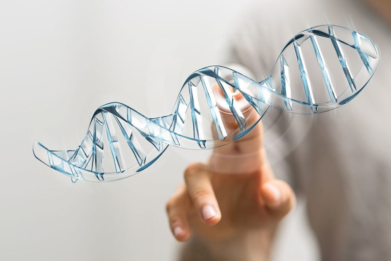 Estudo sobre genoma pode ajudar na prevenção da obesidade