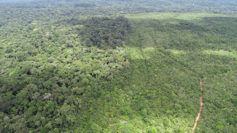 Setor produtivo articula proposta de desenvolvimento sustentável da Amazônia