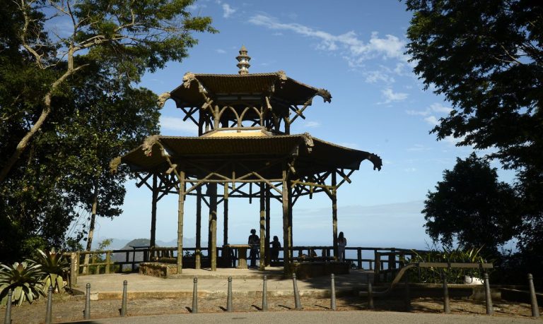 Mata Atlântica