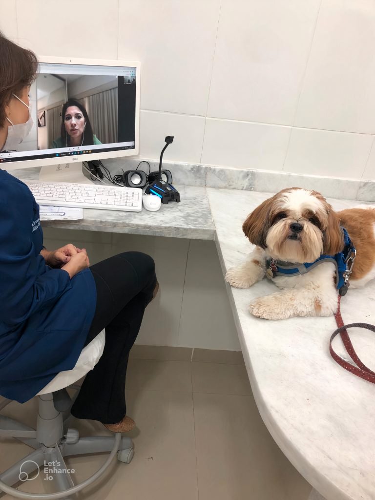 Temedicina | VetFamily | GoVets | Médico-veterinário