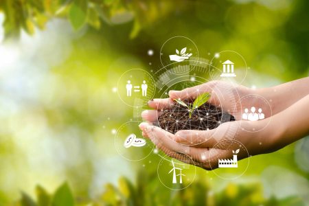 Governo lança green bonds para estimular manufatura verde