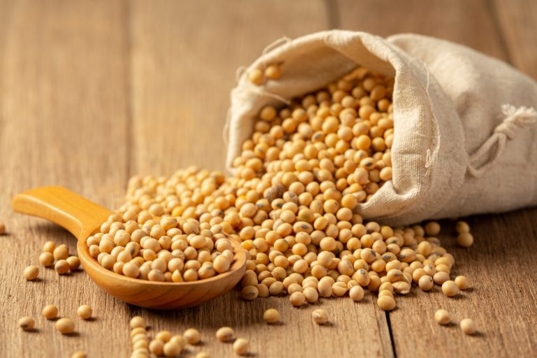 FMI - Funfo Monetário Internacional | PIB - Produto Interno Bruto | Brasil