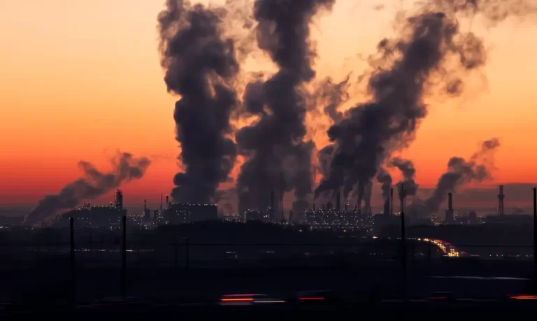 Marina Silva, Ministra do Meio Ambiente | COP28