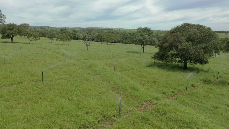 Água de reuso para regar plantação