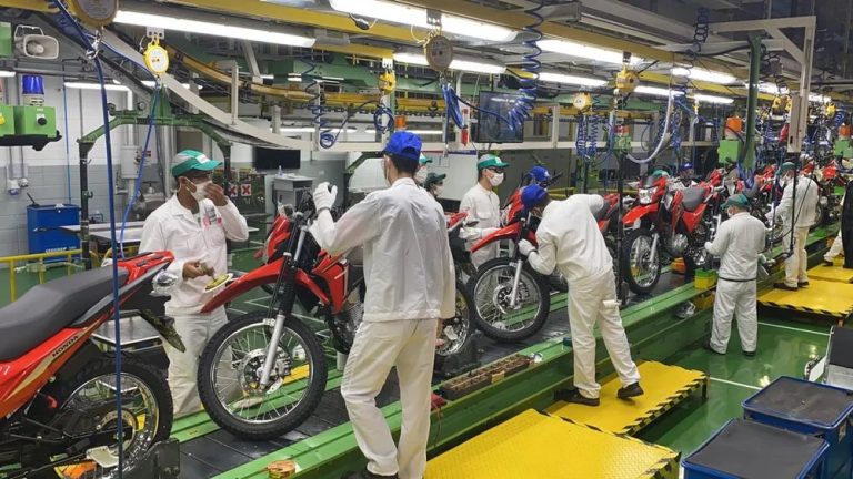 Economia do Amazonas e a empregabilidade | CIEAM