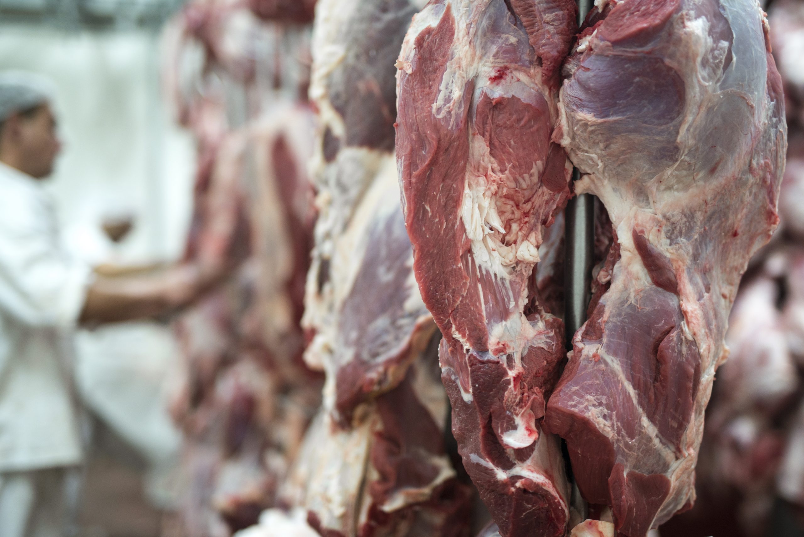 Carne bovina | China e Brasil