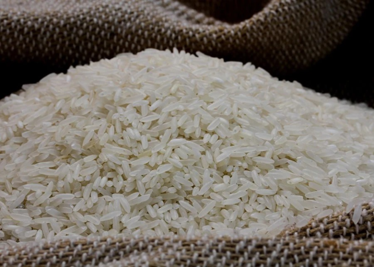 Arroz | Blockchain