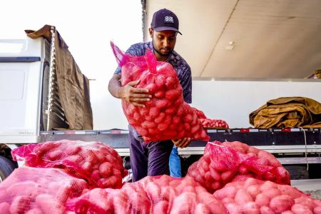 Conab: Batata tem queda de preço, enquanto cebola e tomate sobem