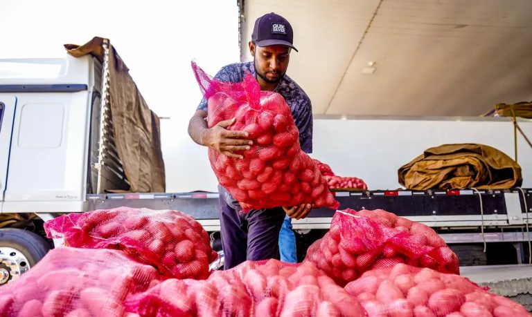 Conab: Batata tem queda de preço, enquanto cebola e tomate sobem. Rafa Neddermeyer/Agência Brasil