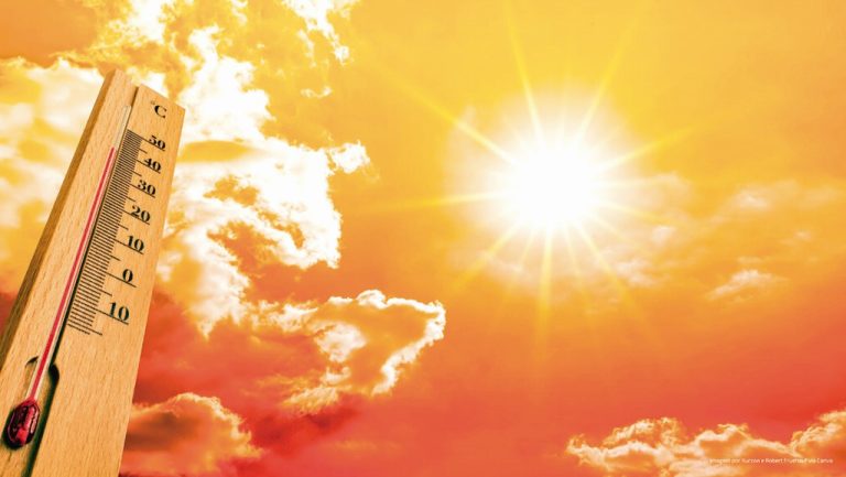 Altas temperaturas exigem adaptação dos agricultores e novas estratégias para minimizar perdas na produção